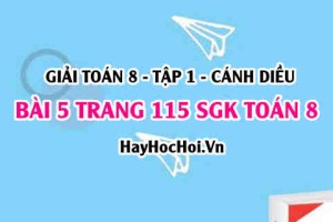 Giải bài 5 trang 115 Toán 8 Tập 1 SGK Cánh Diều